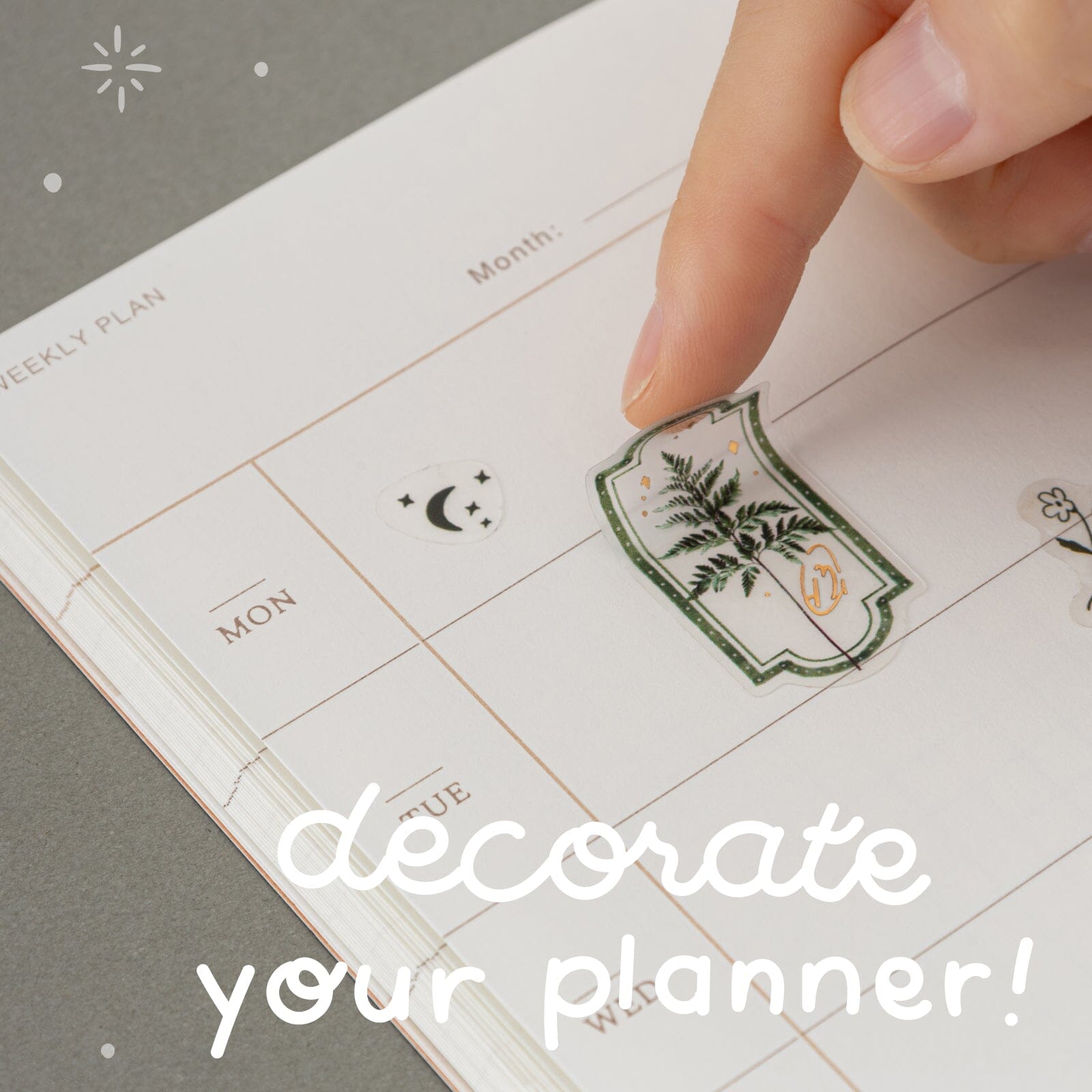 Tsuki 'Whimsical Botanics' Sticker Set ☾