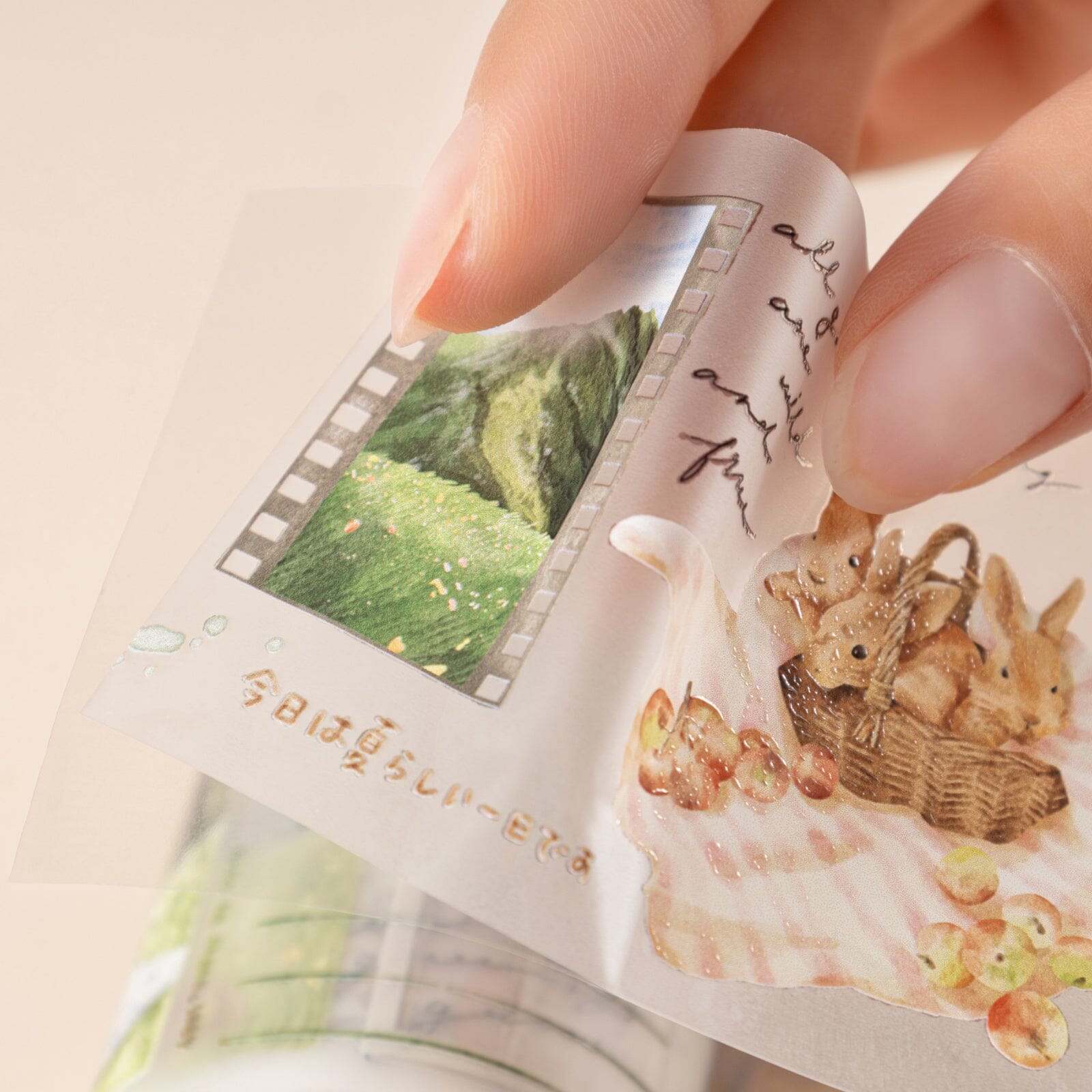 Hinoki - 'Into the Meadow' PET Decorative Tape - Meadow Picnic