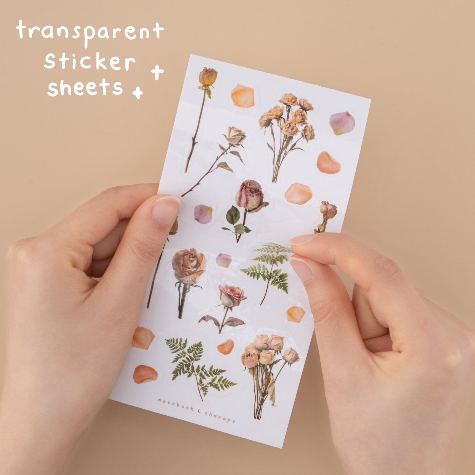 Tsuki ‘Dried Flowers’ Transparent Sticker Set ☾