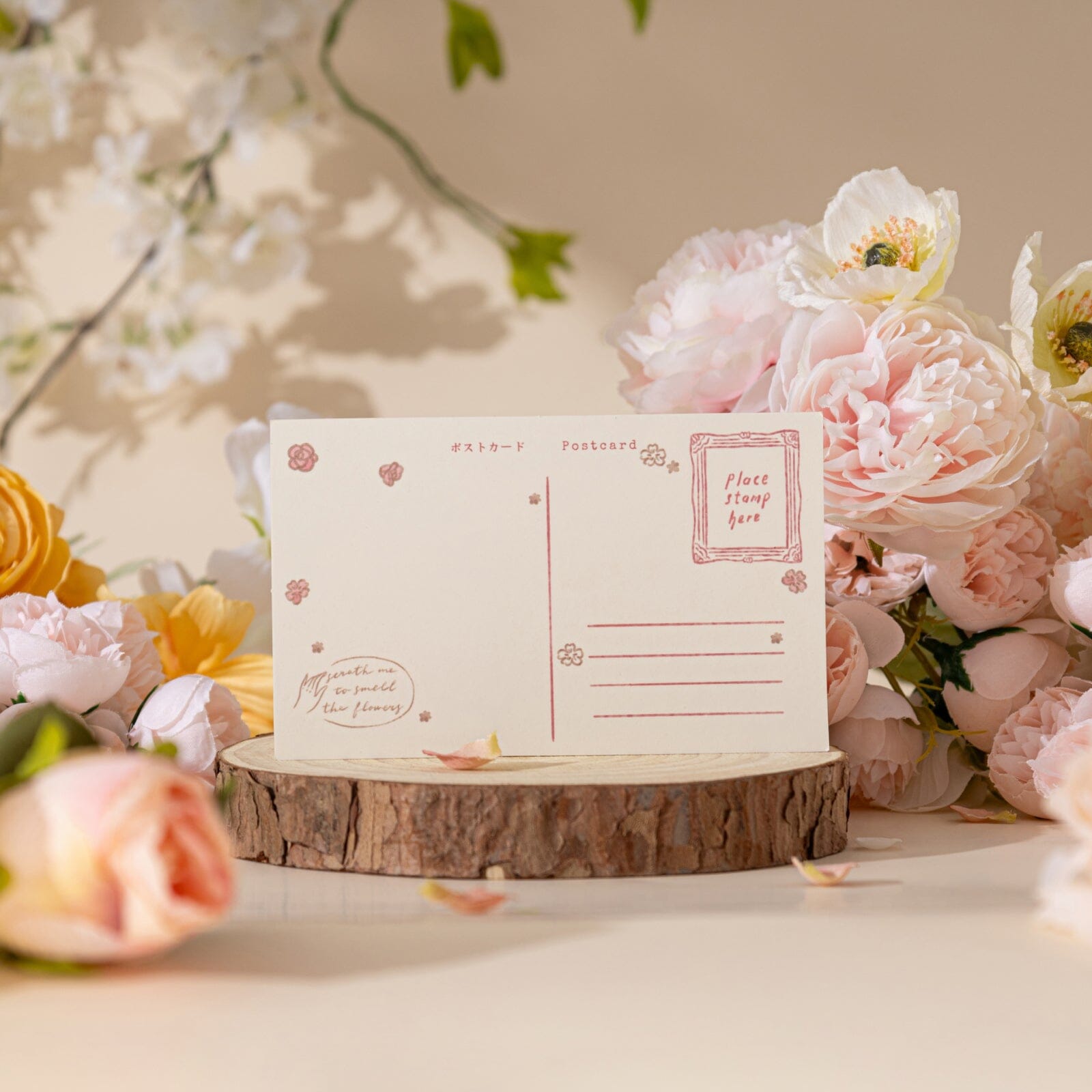 Hinoki - 'Into the Beloved' Collector's Edition Gift Set